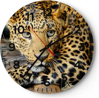 Produktbild von Wanduhr - Rund - Glasuhr - Tiere gefährlich wilde katze - 30x30cm - Schleichendes Uhrwerk - Lautlos - zum Aufhängen bereit - Dekoration Modern - Wanddekoration aus Glas - C4AR30x30-2702