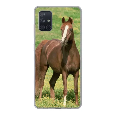 Produktbild von MuchoWow® Handyhülle Schutzhülle Hülle für Samsung Galaxy A71 Pferde - Gras - Braun Silikon Softcase Handy Hülle - Kartenbesitzer