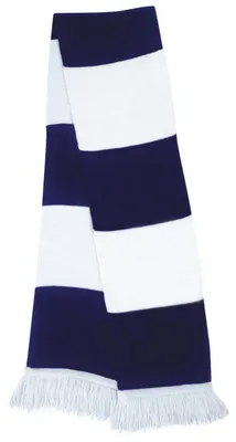 Image de Écharpe thermique d'hiver pour homme Result / Écharpe tricotée / Écharpe FK662 (taille unique) (blanc/bleu marine)