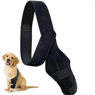 Produktbild von Hund Kniebandage für Hinterbeine – Verstellbare Unterstützung für ACL/CCL, Arthritis und postoperativen Schutz, M (7,3–11,6 Zoll)