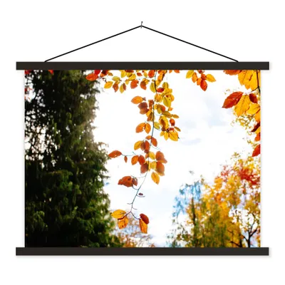 Produktbild von MuchoWow® Textilposter Herbst - Laub - Natur 150x113 cm mit schwarzem Rahmen - Wohnzimmer