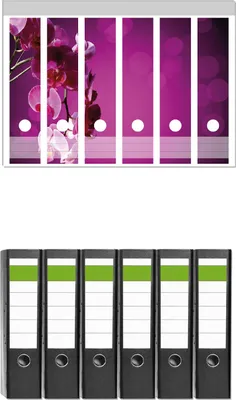 Produktbild von Wallario 6 Stück breite Ordner inkl. Klebeetiketten mit Motive Rosafarbene Orchidee  Blüten in pink -  Set mit Rückenschildern / Ordnerrücken Stickern