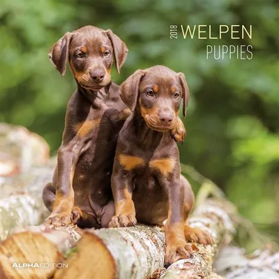 Immagine prodotto di Calendario illustrato "Cuccioli di cane" - 30 x 60 cm