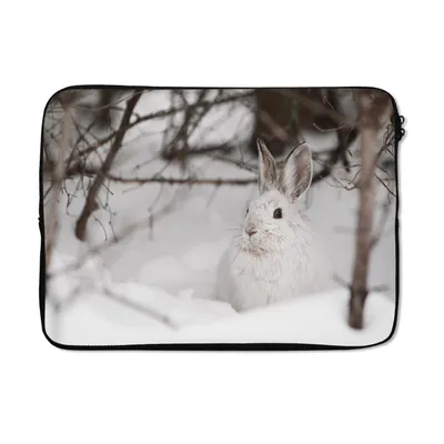 Produktbild von MuchoWow® Laptop Hülle 14 ZollHase - Winter - Pflanze Laptoptasche - Laptoptasche - Stoßsicher - Schutzhaube