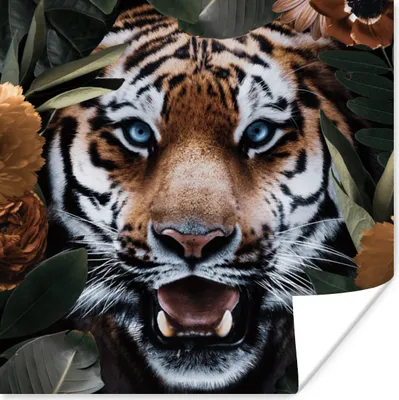 Produktbild von MuchoWow® Poster Tiger - Blatt - Tiere 100x100 cm - Babyzimmer