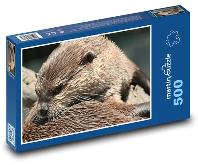 Obrázek produktu pro Puzzle 500 Vydra v přírodě - martinpuzzle