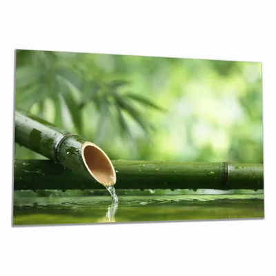 Produktbild von Wallario Herdabdeckplatte aus Glas, Größe 80 x 52 cm 1-teilig, Motiv Bambusquelle  Bambusrohr mit Wasser