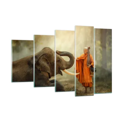 Produktbild von Bilder auf glas - Elefant Mönch Stoßzahn - 150x100cm - Glasbilder - Wandbilder - Kunstdruck - zum Aufhängen bereit - Wanddekoration aus Glas - Glas Bilder - Wandbild auf Glas - GEG150x100-3484