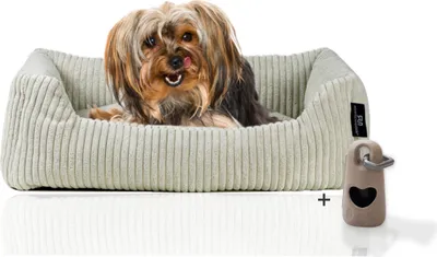Produktbild von Rohrschneider Hundebett waschbar für kleine und mittelgroße Hunde mit Hundekissen Cord  inkl. Gassibeutel, Farbe:beige 55cm, Muster:Cordstoff breit