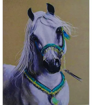 Immagine prodotto di NORIMPEX Pittura con numeri arabi bianchi 40 x 50 cm 5577