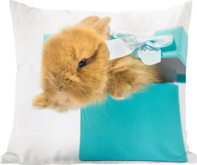 Produktbild von MuchoWow® Zierkissen Sofakissen Wohnzimmer Dekokissen 40x40 cm Kaninchen - Pastell - Blau - Foto Kissen - Schlafzimmer Dekoration