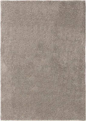 Image de Tapis à poils longs lavable Interiyou Sofia, gris clair, 250 x 300 cm