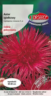 Produktbild von Saatgut von Aster tall needle cherry amaranth - Torseed