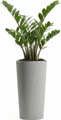 Produktbild von HowHomely | Pflanzentopf - Blumenkübel - grau - 36x20 cm - Rillentopf - Blumentopf - Übertopf