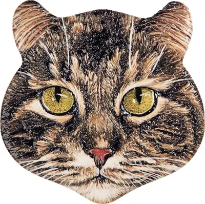 Immagine prodotto di Gatto magnete Clayre & Eef 7x7 cm in Vetroceramica marrone