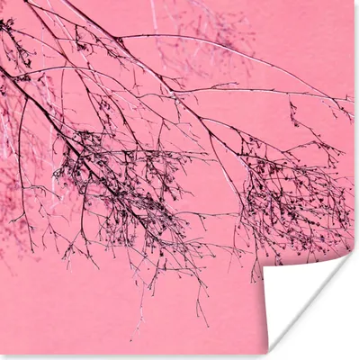 Produktbild von MuchoWow® Poster Blumen - Zweige - Sommer 75x75 cm - Wand Dekoration