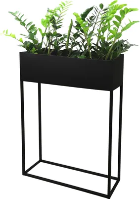 A black metal planter with green plants on a white background.