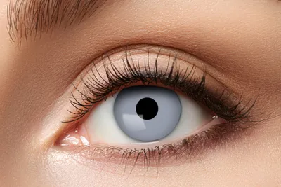 Produktbild von Zoelibat Eyecatcher 3 Monats-Kontaktlinsen Vampire Grey Monatslinsen Funlinsen für Party