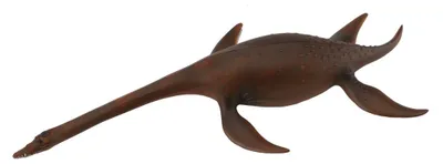 Produktbild von COLLECTA Attenborosaurus - (L)