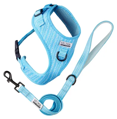 Neopren-Hundegeschirr mit Leine, Blau, Größe S