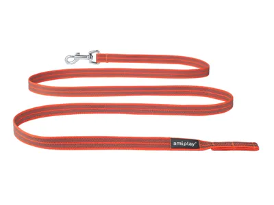 Produktbild von Hunde Schleppleine/Trainingsleine ohne Handschlaufe 2m RUBBER, Orange S-M Amiplay