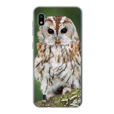 Produktbild von MuchoWow® Handyhülle Schutzhülle Hülle für Samsung Galaxy A10 Braune Eule sitzt auf einem Baum Silikon Softcase Handy Hülle - Schutzhülle