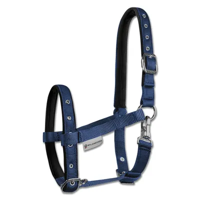 Image de Waldhausen Licol pour poulain Comfort