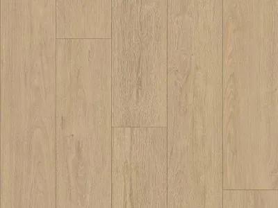 Produktbild von 2,26 m² | Laminat Atlantic 8 Cream Darcy Oak K844
