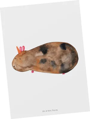 Produktbild von Mr. & Mrs. Panda Postkarte Einhorn Meerschweinchen - Weiß - Geschenk, Postkarten, Grußkarte, bildkarte, Unicorn, Meerhörnchen, Ansichtskarten, Ansichtskarte, Einhörner