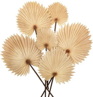 Immagine prodotto di Foglie di palma artificiali decorative verde, oro e color crema