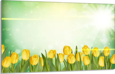 Produktbild von Herdabdeckplatte 80x52cm 1-teilig Glaskeramikkochfeld-Abdeckung Spritzschutz, Tulpen Gelb