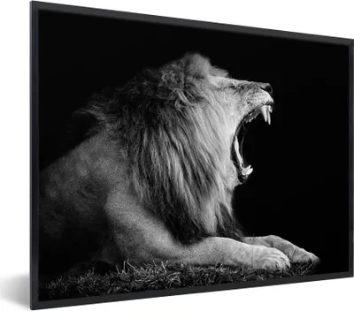 Produktbild von MuchoWow® Gerahmtes Poster Löwe - Wildtiere - Gras - Schwarz - Weiß 40x30 cm - Poster mit Schwarzem Bilderrahmen Wandposter Rahmen Foto Bilder - Kunstposter - Wanddekorationen