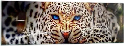 Produktbild von Bilder auf glas - Panther Tier - 160x50cm - Glasbilder - Wandbilder - Kunstdruck - zum Aufhängen bereit - Wanddekoration aus Glas - Glas Bilder - Wandbild auf Glas - Einteilig - GAB160x50-3506