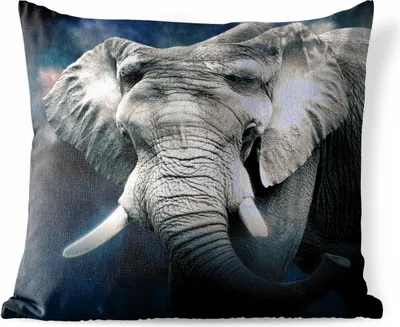 Produktbild von MuchoWow® Outdoor Kissen - Elefant - Rauchen - Zähne - 45x45 cm - Wetterfest - Lounge Kissen - Fotokissen - Dekoratives Kissen