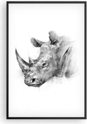 Produktbild von Gerahmtes Poster - Schwarzer Rahmen - Nashorn Porträt Grafik - 61x91,5 cm - Wand Bild - Wanddeko - Wandbilder - Kunstposter - Wandposter - Bilderrahmen - Bilder - Kunstdruck - P2BPA61x91-4378