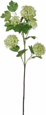 Produktbild von Mica künstliche Viburnum grün, 66 cm