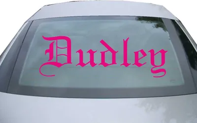 Produktbild von Indigos UG - Aufkleber Heckscheibe & Motorklappe DE6619 - pink - 600x194 mm - Dudiley - Auto Scheiben Fenster Heckklappe Tuning Racing JDM - Die cut