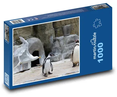 Zdjęcie produktu dla martinpuzzle - Puzzle 1000 - Pinguin - rybka, zwierzęta