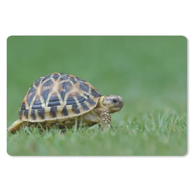 Produktbild von MuchoWow® Mauspad Mousepad Schildkröte im Gras 27x18 cm - Mousepads - Maus Mat - Pad - Mausunterlage - Büroartikel - Desk Matten