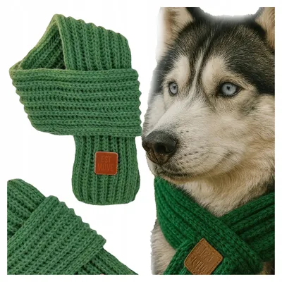 Produktbild von Fazoo Warmer Hundeschal Winter Bandana Grün 100 cm L