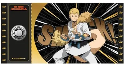 Productafbeelding van My Hero Academia Black Ticket Col01 Mashirao