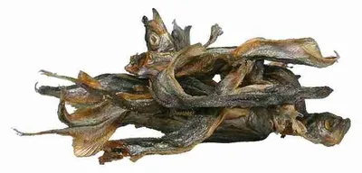 Produktbild von TRIXIE Trockenfisch