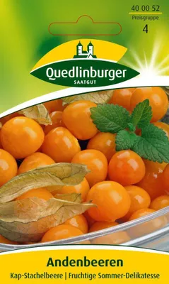 Zdjęcie produktu dla Quedlinburger Saatgut - Agrest andyjski - Nasiona - 400052