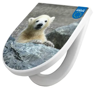 Produktbild von WC Sitz mit Absenkautomatik D Form Motiv Eisbär Baby [TDW3 10038]