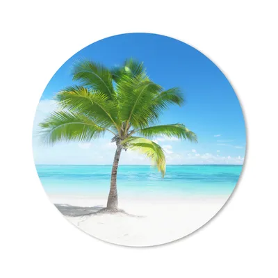 Produktbild von MuchoWow® Mauspad Mousepad Palme - Strand - Meer - Sommer 50x50 cm - Mousepads - Maus Mat - Pad - Mausunterlage - Vinyl