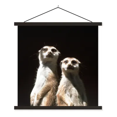 Produktbild von MuchoWow® Textilposter Schwarz - Erdmännchen - Tiere 90x90 cm mit schwarzem Rahmen - Magnetisches