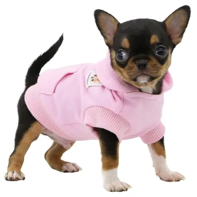 Obrázok produktu pre LOPHIPETS: Bavlnené mikiny s kapucňou pre malé psy, šteniatka, napríklad pre plemená ako chihuahua