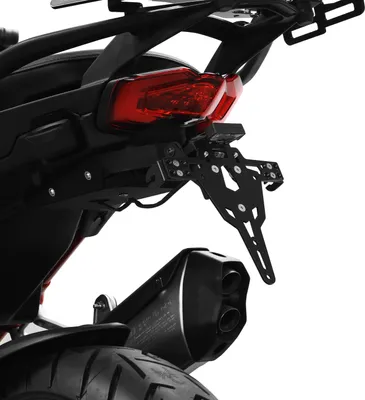 Produktbild von ZIEGER Pro Kennzeichenhalter kompatibel mit Ducati Multistrada V4 1200