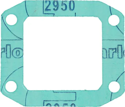 Immagine prodotto di Guarnizione, per membrana V-Force 4, versione grande