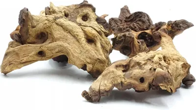 Produktbild von BioRoot Mopani-Wurzel für Terrarium und Aquarium S 10-20cm